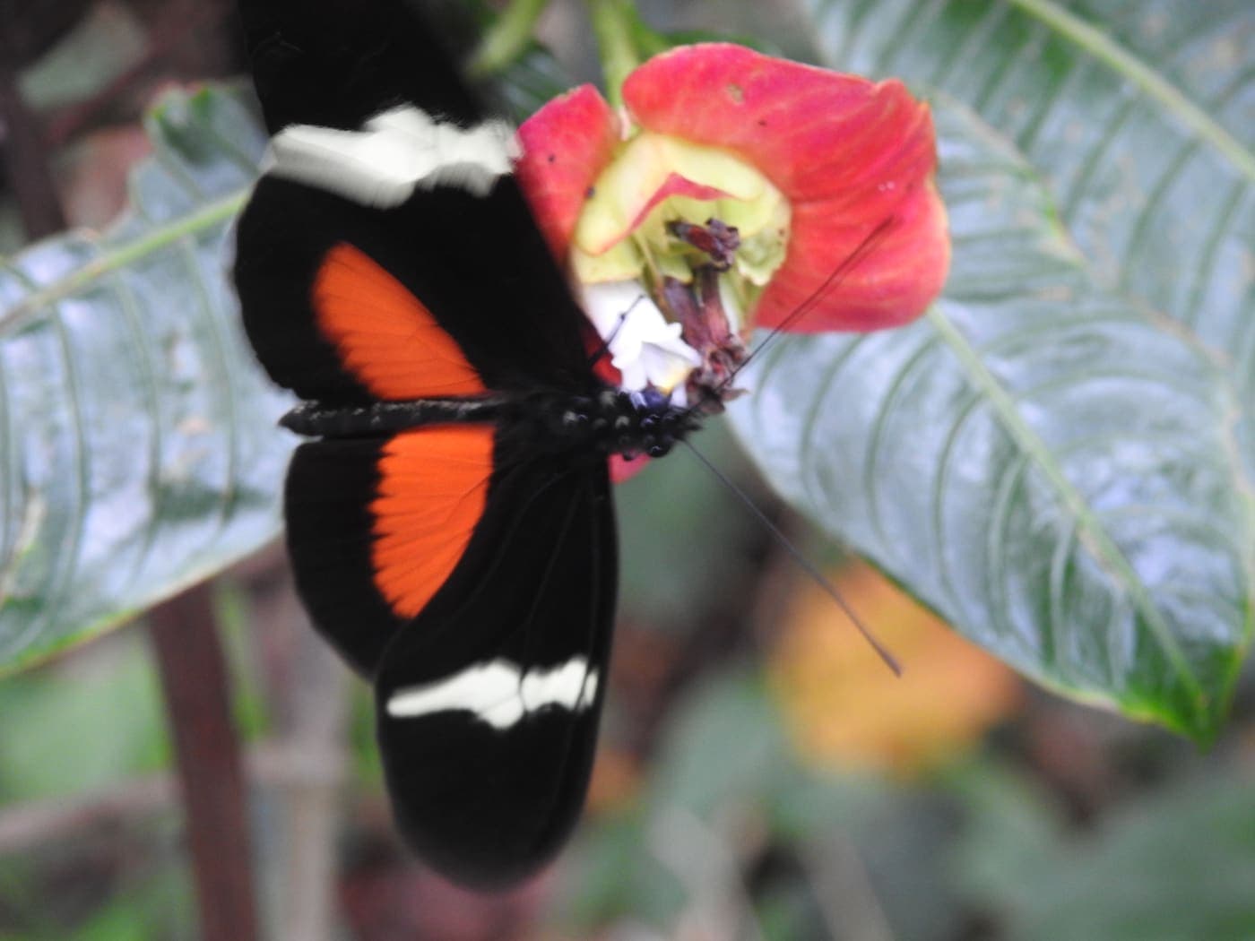 Tour de Aves y Naturaleza - foto 5