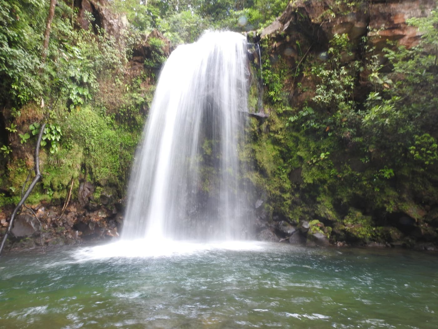 Catarata Piedras Rojas + Morpho Blanca + Cabro Muco - foto 6