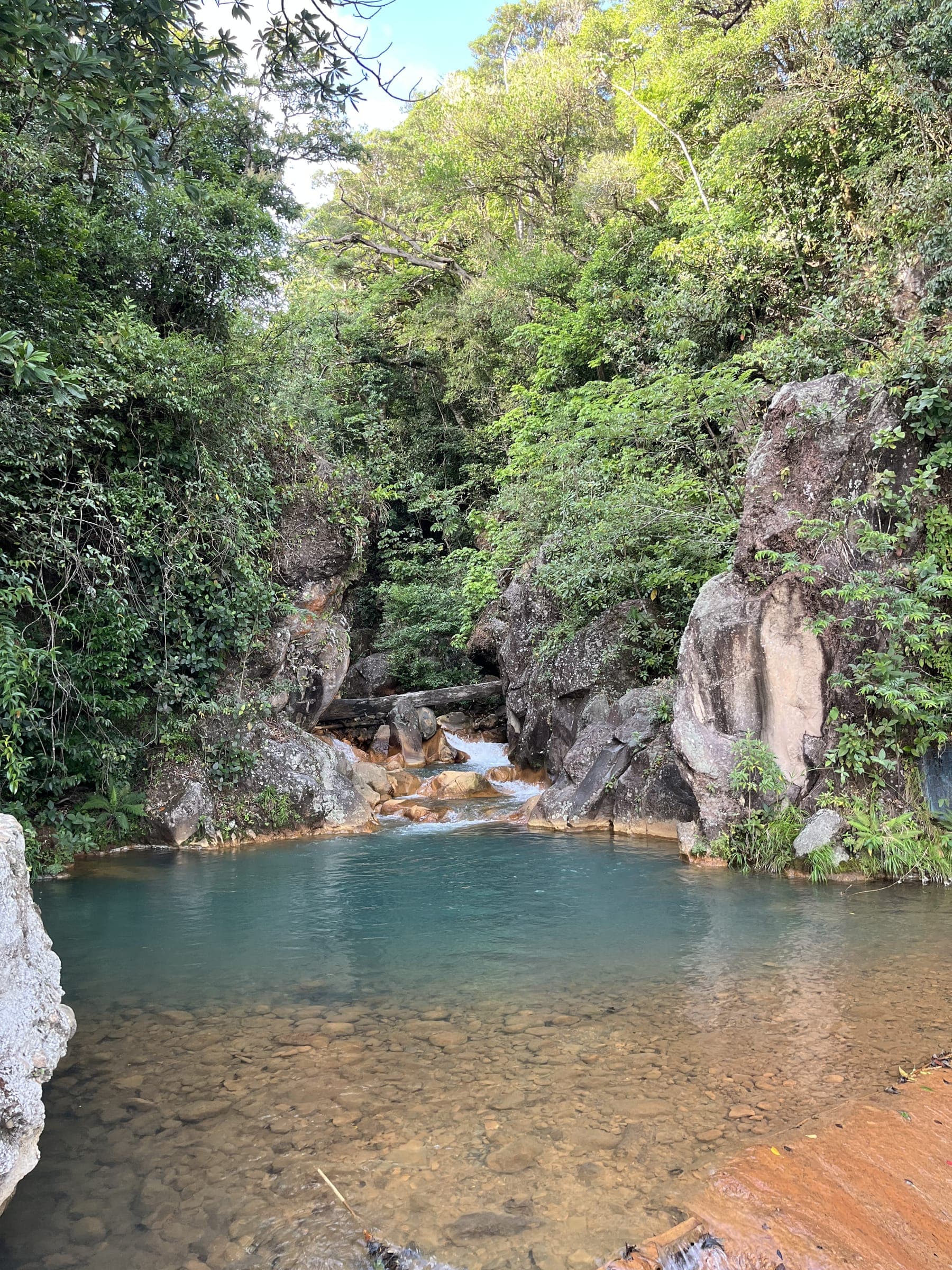 Catarata Piedras Rojas + Morpho Blanca + Cabro Muco - foto 3